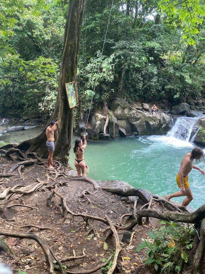 Coati Del Arenal Posada La Fortuna Dış mekan fotoğraf