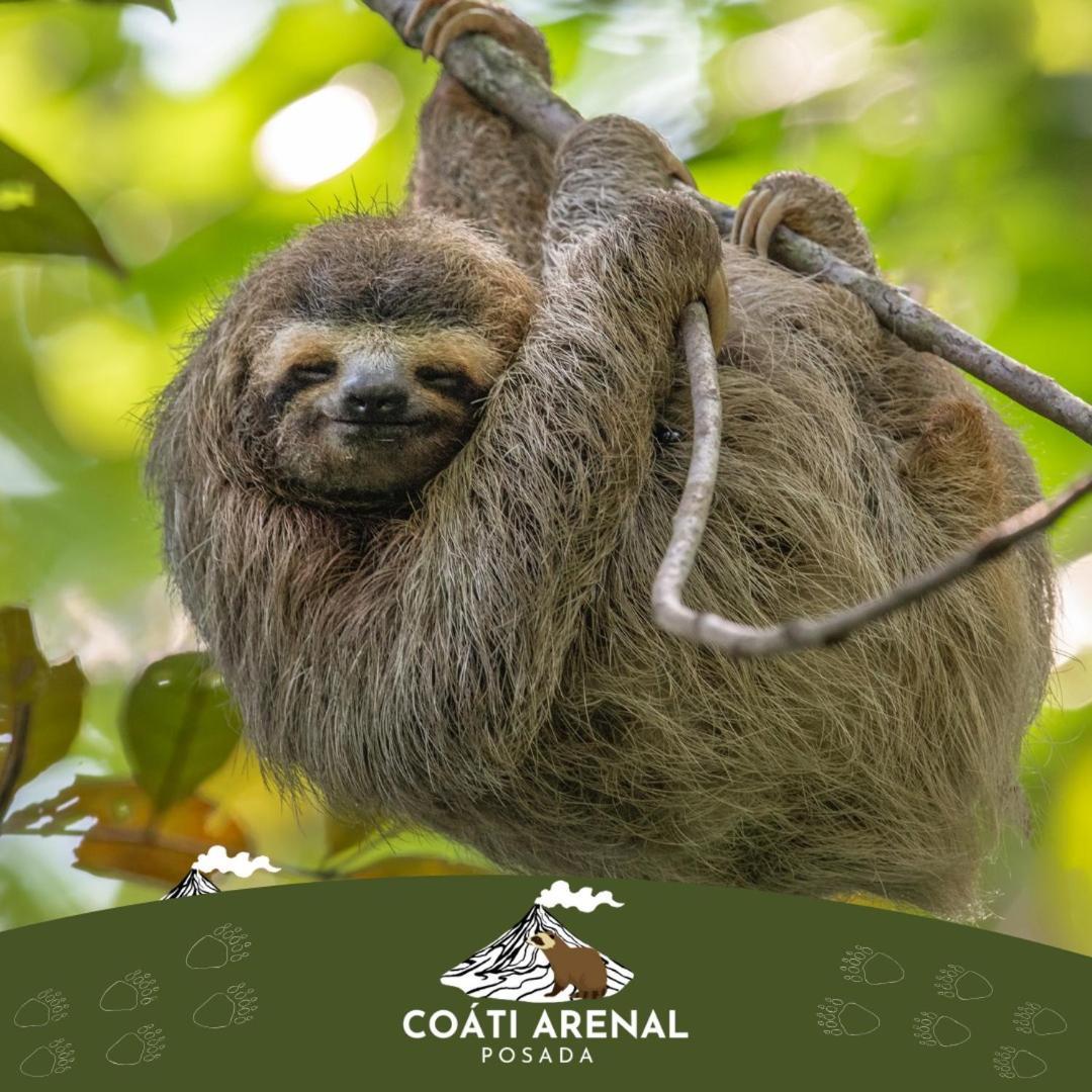 Coati Del Arenal Posada La Fortuna Dış mekan fotoğraf
